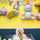 펫플러스라이프 이미지