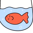 광어야참치마 이미지