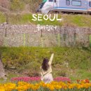 수리티재쉼터 공중화장실 | 서울 봄꽃 튤립 명소 중랑천 용비쉼터 가는길, 주차, 포토스팟