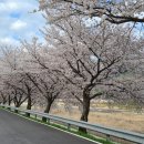 운문댐하류보4 이미지