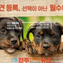 우방가축병원 이미지