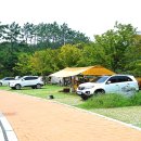 남산공원 오토캠핑장 이미지