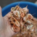 두암시장 이미지