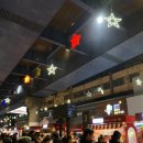 첼로_처음(야간) 이미지