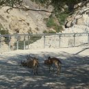 푸른샘농장 이미지