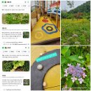 10주 / 원예치료사 (2학기) | 자연아 반가워 여름 학기 후기_자연과 친해지는 아이, 엄마도 힐링하는 시간 ♡