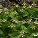 보인2리 이미지