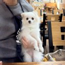 무진장숯불화로구이 이미지