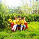 하나플러스산부인과 Daum카페