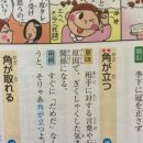 모가상사 이미지