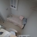 스테이파르크