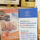 별까페 | 청령포근처 영월카페 별애별빵1984 방문 후기