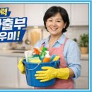 수정파출부