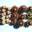 생태와 기후변화이야기 이미지