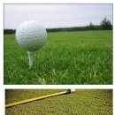 산성골프연습장 이미지