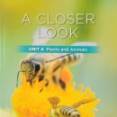 SOT어학원 이미지