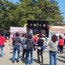 4월 강원도 여행 동해 삼척 맹방유채꽃마을 축제 방문후기 및 주차
