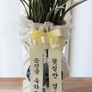 너와나호프 네이버블로그