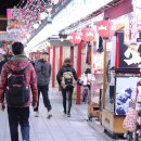 겨울방학해외여행 도쿄 자유여행 3박4일 일본 도쿄 가족 배낭여행 이미지