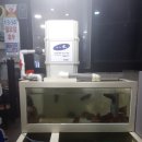 활어수족관 청소 여과기 위생관리 활어횟집운영