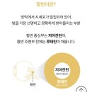 오호약국 | 다이소 루테인 vs 약국 루테인 원재료함량 영양성분 차이점 비교 후기(광고X)