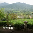 하동 매암제다원 녹차밭 매암차문화박물관 경남 여행지 추천