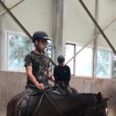 김해승마클럽 네이버블로그