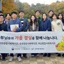 청년농부