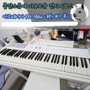 층간소음에 자유로운 전자피아노 전자키보드 아르테시아 PA-88W 내돈내산 후기(초보자 연습에 추천)