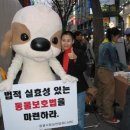주)명동 이미지