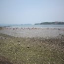 온새미로민박 이미지