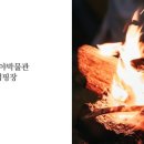 핏들캠핑장 이미지