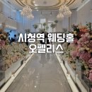서울 시청역 웨딩홀 오펠리스 라비제홀 하객후기