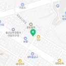 현대그린존 | 울산방역업체 현대그린존방역 울산본사 후기, 벌레 스트레스 싹 사라졌어요
