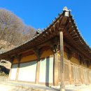 선차이 이미지