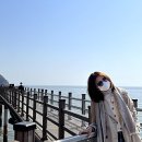 진교테크 네이버블로그