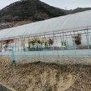 배들가축 이미지