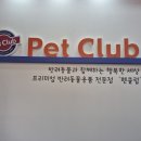 펫클럽강릉입암점