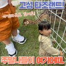 여름도 한풀 꺾이고! 이제 공룡의 성지! 경남 고성에서 놀자!(feat. 고성 공룡타조랜드)(고성군 3편)