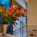 송정더드림2 이미지