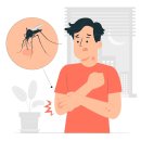 말라리아 모기 증상, 의약외품 이카리딘 모기기피제 후기 추천 영진팜 수호천사파워