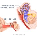 평택이비인후과추천, 어지럼증을 유발하는 귀 질환 3가지 <총정리>