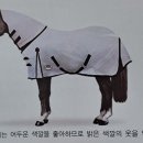 대발목장 이미지