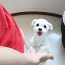 몽타운 이미지
