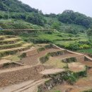 남파랑길 42코스 이미지