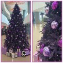 보고또보고 | 보고 또 보고