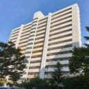 바른성심약국 이미지