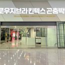 모두의곤충 이미지