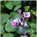 증촌 티스토리