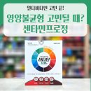 정담은약국 | 센타민프로정, 한 알에 30가지 영양! 최신 성분·효능·실제 후기 총정리🍀